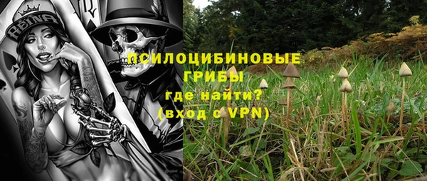 не бодяженный Абаза