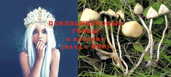 не бодяженный Абаза