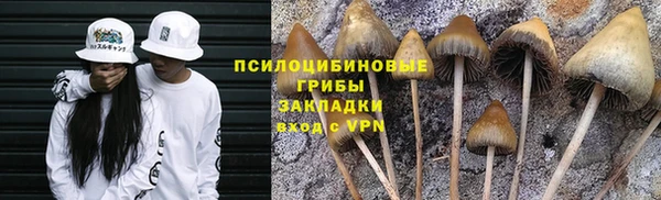 apvp Покров