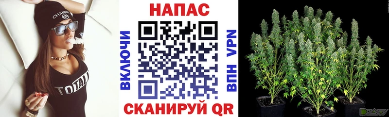 Конопля семена  Анадырь 